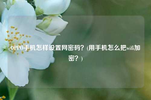 OPPO手机怎样设置网密码？(用手机怎么把wifi加密？)