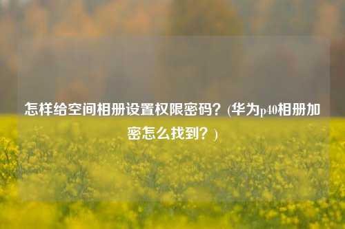 怎样给空间相册设置权限密码？(华为p40相册加密怎么找到？)