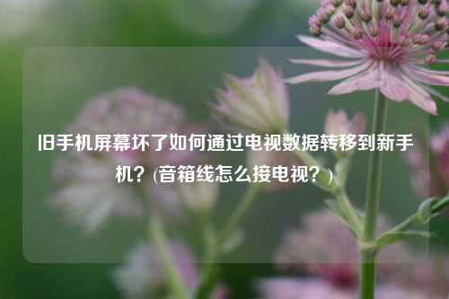 旧手机屏幕坏了如何通过电视数据转移到新手机？(音箱线怎么接电视？)