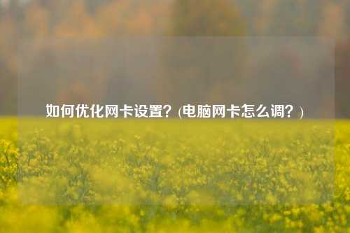 如何优化网卡设置？(电脑网卡怎么调？)