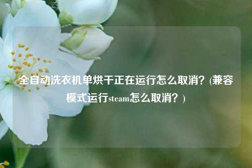 全自动洗衣机单烘干正在运行怎么取消？(兼容模式运行steam怎么取消？)