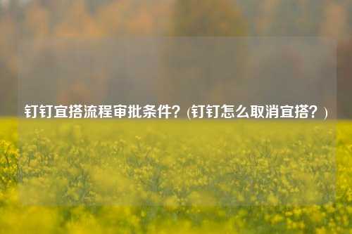 钉钉宜搭流程审批条件？(钉钉怎么取消宜搭？)