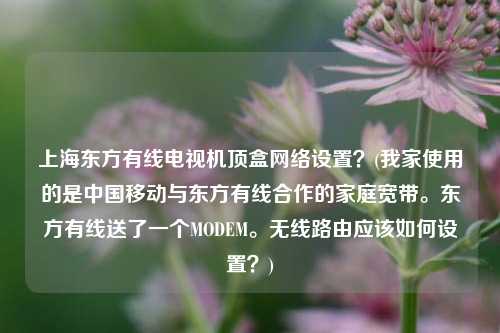 上海东方有线电视机顶盒网络设置？(我家使用的是中国移动与东方有线合作的家庭宽带。东方有线送了一个MODEM。无线路由应该如何设置？)