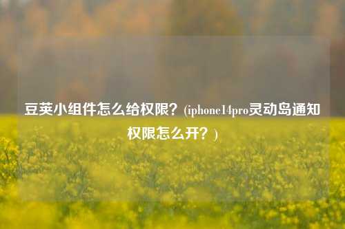 豆荚小组件怎么给权限？(iphone14pro灵动岛通知权限怎么开？)