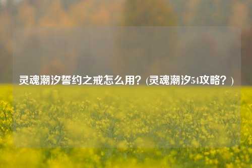 灵魂潮汐誓约之戒怎么用？(灵魂潮汐54攻略？)