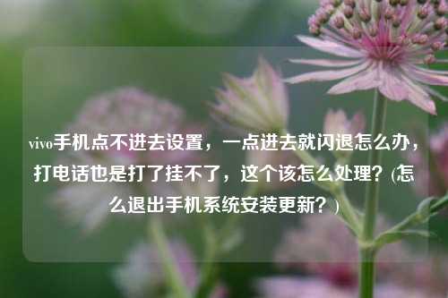 vivo手机点不进去设置，一点进去就闪退怎么办，打电话也是打了挂不了，这个该怎么处理？(怎么退出手机系统安装更新？)