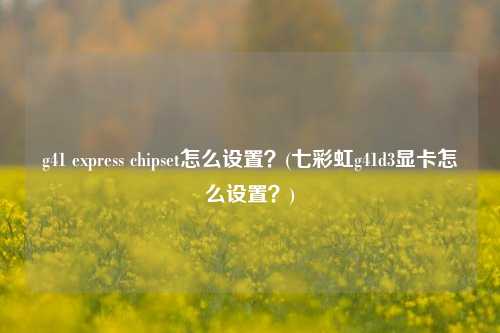 g41 express chipset怎么设置？(七彩虹g41d3显卡怎么设置？)