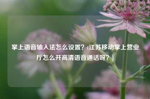 掌上语音输入法怎么设置？(江苏移动掌上营业厅怎么开高清语音通话呀？)