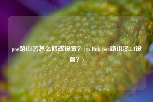 poe路由器怎么修改设置？(tp link poe路由器2.4设置？)