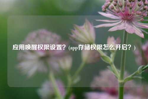 应用唤醒权限设置？(app存储权限怎么开启？)