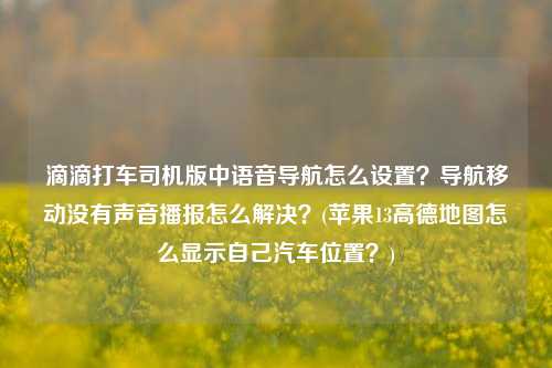 滴滴打车司机版中语音导航怎么设置？导航移动没有声音播报怎么解决？(苹果13高德地图怎么显示自己汽车位置？)