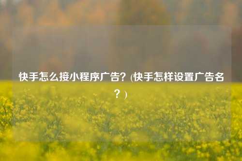 快手怎么接小程序广告？(快手怎样设置广告名？)