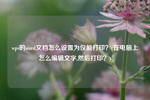 wps的word文档怎么设置为仅能打印？(在电脑上怎么编辑文字,然后打印？)