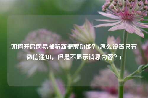 如何开启网易邮箱新提醒功能？(怎么设置只有微信通知，但是不显示消息内容？)