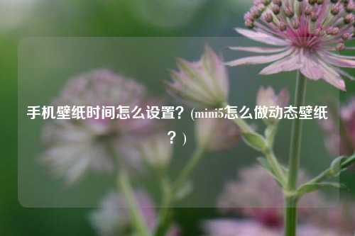 手机壁纸时间怎么设置？(mini5怎么做动态壁纸？)