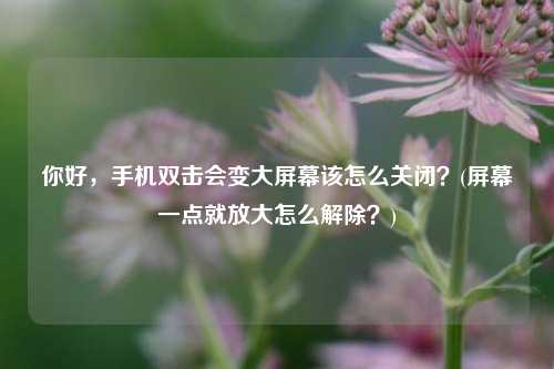 你好，手机双击会变大屏幕该怎么关闭？(屏幕一点就放大怎么解除？)