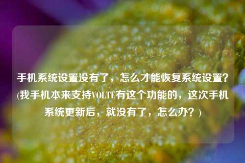 手机系统设置没有了，怎么才能恢复系统设置？(我手机本来支持VOLTE有这个功能的，这次手机系统更新后，就没有了，怎么办？)