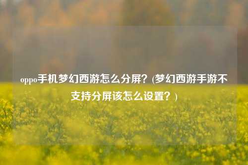 oppo手机梦幻西游怎么分屏？(梦幻西游手游不支持分屏该怎么设置？)