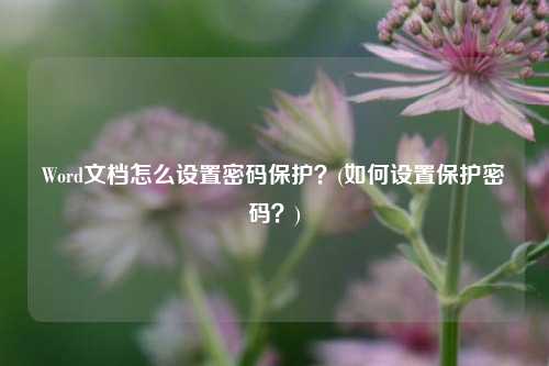 Word文档怎么设置密码保护？(如何设置保护密码？)