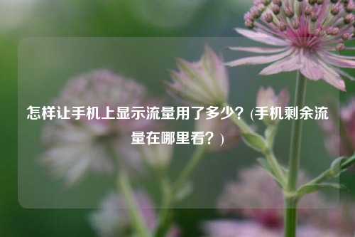 怎样让手机上显示流量用了多少？(手机剩余流量在哪里看？)