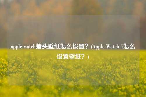 apple watch猪头壁纸怎么设置？(Apple Watch 7怎么设置壁纸？)