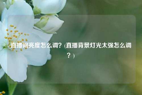 直播间亮度怎么调？(直播背景灯光太强怎么调？)