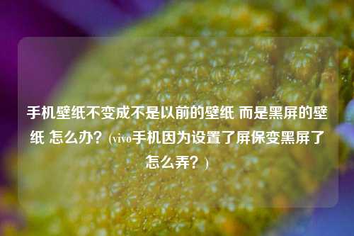 手机壁纸不变成不是以前的壁纸 而是黑屏的壁纸 怎么办？(vivo手机因为设置了屏保变黑屏了怎么弄？)