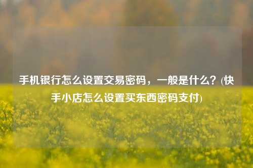 手机银行怎么设置交易密码，一般是什么？(快手小店怎么设置买东西密码支付)