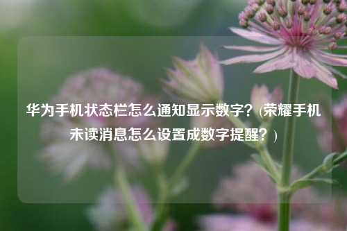 华为手机状态栏怎么通知显示数字？(荣耀手机未读消息怎么设置成数字提醒？)