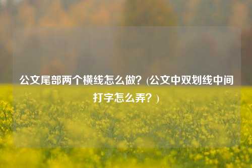 公文尾部两个横线怎么做？(公文中双划线中间打字怎么弄？)