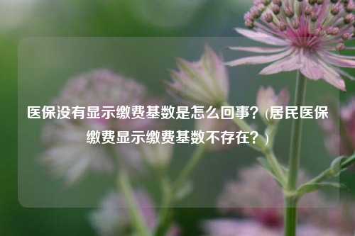 医保没有显示缴费基数是怎么回事？(居民医保缴费显示缴费基数不存在？)