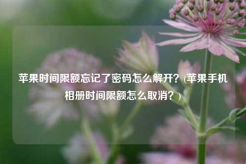 苹果时间限额忘记了密码怎么解开？(苹果手机相册时间限额怎么取消？)