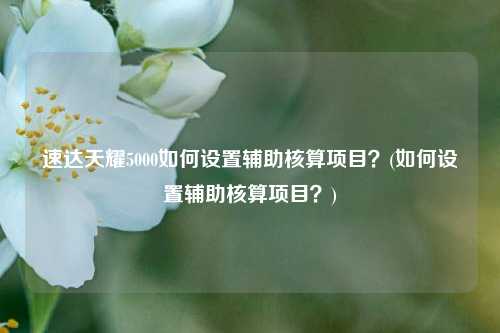 速达天耀5000如何设置辅助核算项目？(如何设置辅助核算项目？)