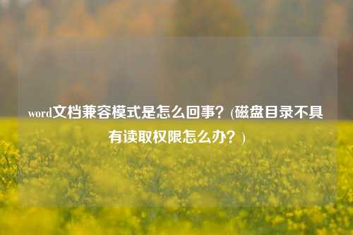 word文档兼容模式是怎么回事？(磁盘目录不具有读取权限怎么办？)