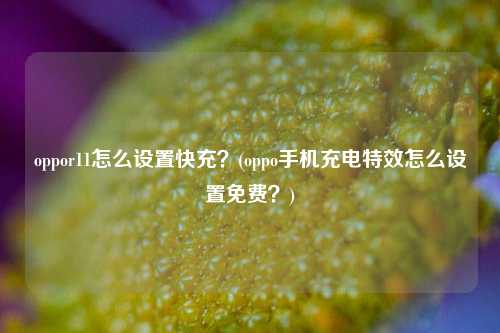 oppor11怎么设置快充？(oppo手机充电特效怎么设置免费？)