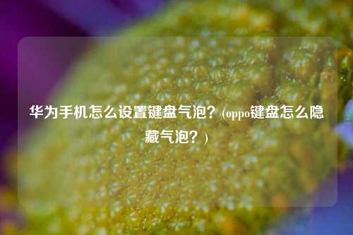 华为手机怎么设置键盘气泡？(oppo键盘怎么隐藏气泡？)