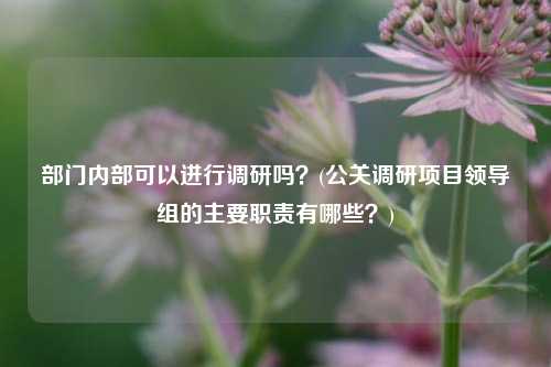 部门内部可以进行调研吗？(公关调研项目领导组的主要职责有哪些？)