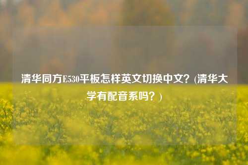 清华同方E530平板怎样英文切换中文？(清华大学有配音系吗？)