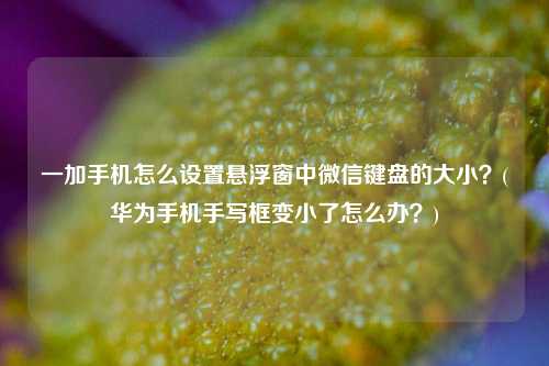 一加手机怎么设置悬浮窗中微信键盘的大小？(华为手机手写框变小了怎么办？)