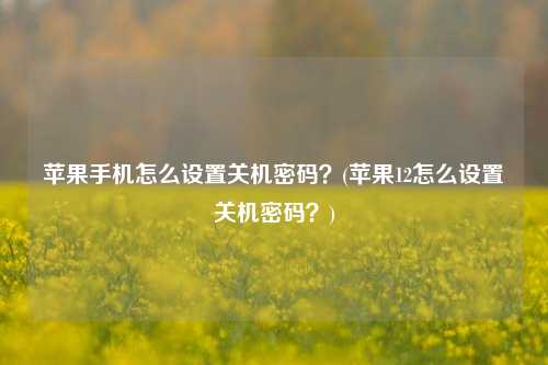 苹果手机怎么设置关机密码？(苹果12怎么设置关机密码？)