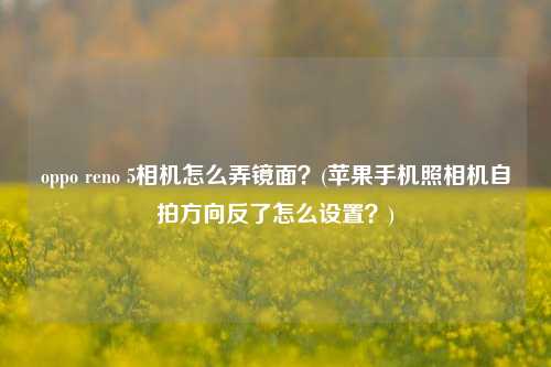 oppo reno 5相机怎么弄镜面？(苹果手机照相机自拍方向反了怎么设置？)