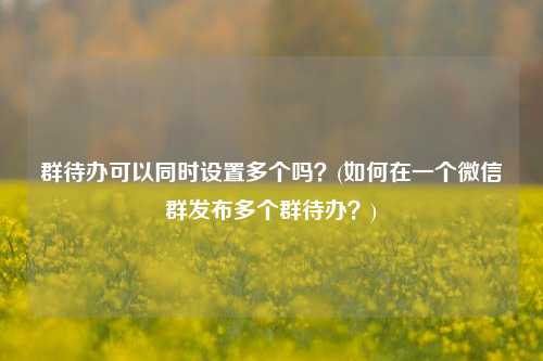 群待办可以同时设置多个吗？(如何在一个微信群发布多个群待办？)