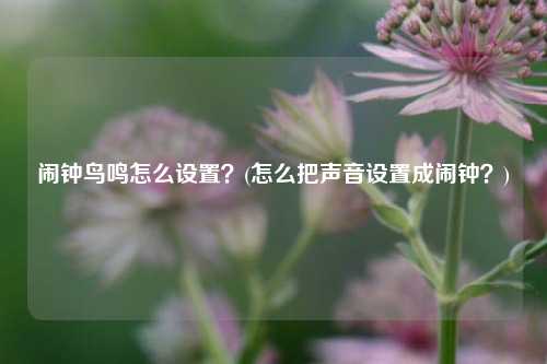 闹钟鸟鸣怎么设置？(怎么把声音设置成闹钟？)