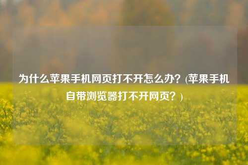 为什么苹果手机网页打不开怎么办？(苹果手机自带浏览器打不开网页？)