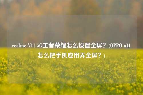 realme V11 5G王者荣耀怎么设置全屏？(OPPO a11怎么把手机应用弄全屏？)