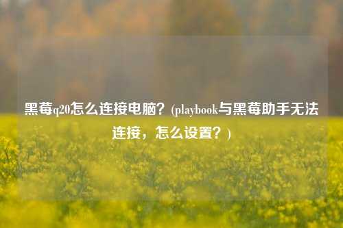 黑莓q20怎么连接电脑？(playbook与黑莓助手无法连接，怎么设置？)