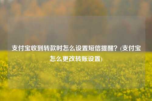 支付宝收到转款时怎么设置短信提醒？(支付宝怎么更改转账设置)