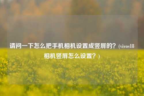 请问一下怎么把手机相机设置成竖屏的？(vivos18相机竖屏怎么设置？)