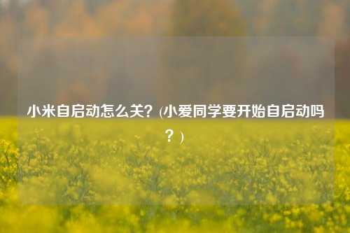 小米自启动怎么关？(小爱同学要开始自启动吗？)