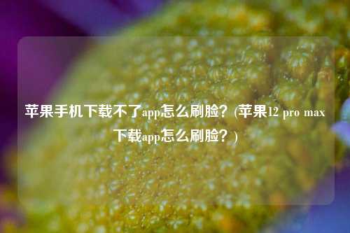 苹果手机下载不了app怎么刷脸？(苹果12 pro max下载app怎么刷脸？)